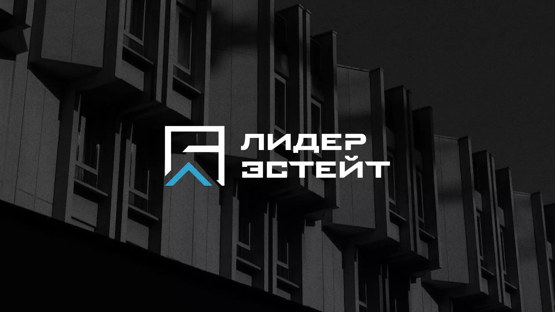 Разработка логотипа агентства недвижимости «Лидер Эстейт» в Суровикино